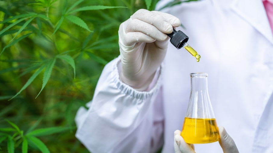 From Raw Materials to Finished Goods: Cannabis Manufacturing Considerations